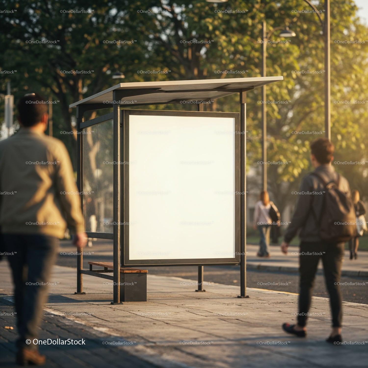 Empty Backlit Urban Bus Stop Advertising Panel