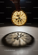 Hand Holding a Backlit Dried Orange Slice with Shadow