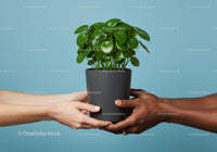 Hands of diverse people holding green potted plant