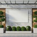 Modern storefront with marble wall and green topiary decor