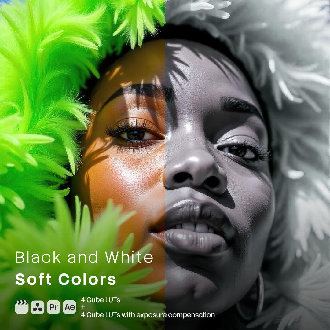 Black and White Soft Colors LUT Pack preview