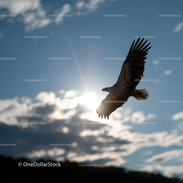 Majestic Eagle Flying in Bright Sky with Clouds