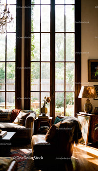 Cozy living room bathed in warm natural light