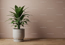 Lush Green Indoor Plant in White Pot for Modern Home Decor