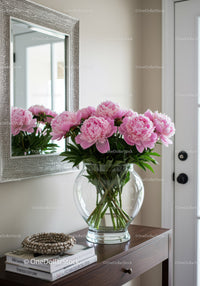 Elegant Pink Peonies in Glass Vase for Interior Decoration