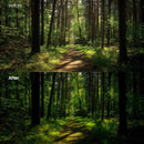 outdoor photography edit with Forest Glow Dark Lightroom presets