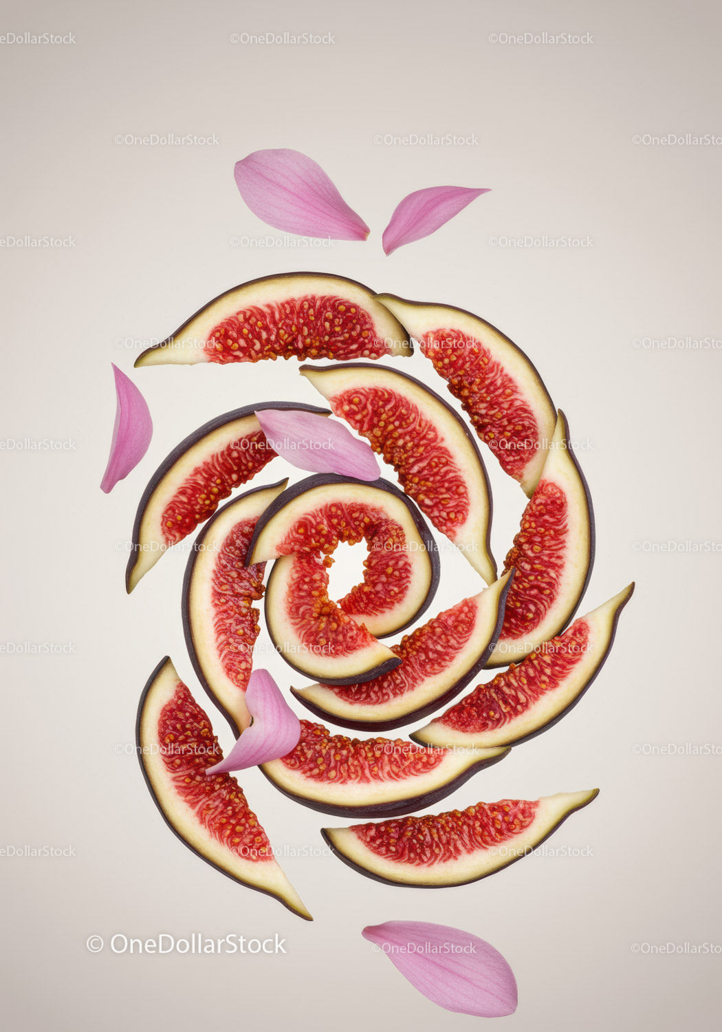 Spiral arrangement of fresh fig slices with pink petals