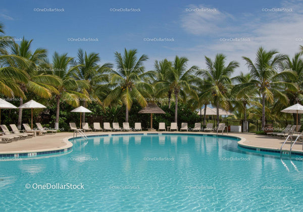 Tropical Resort with Swimming Pool and Lush Palm Trees