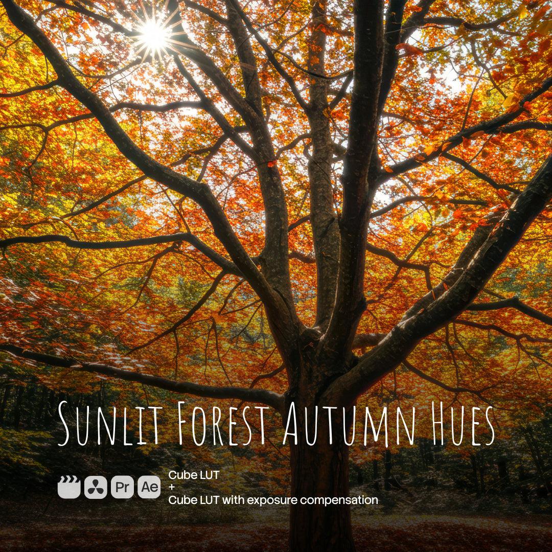 Sunlit Forest Autumn Hues LUT Pack (2 LUTs)