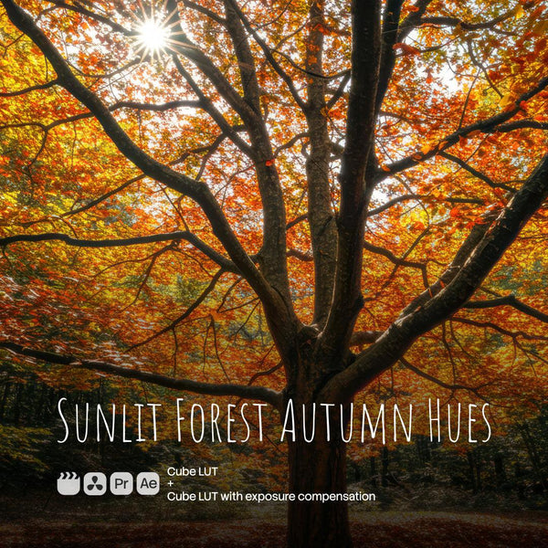 Sunlit Forest Autumn Hues (2 LUTs)