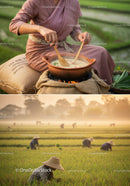 Traditional Cooking and Rice Harvesting in Rural Asia