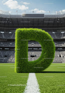 Green grass letter D on soccer field line