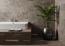 Modern Bathroom with Green Palm Plant and Grey Stone Tiles