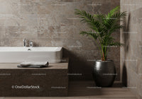 Modern Bathroom with Green Palm Plant and Grey Stone Tiles