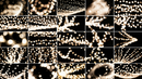 Holiday Flares Photo Overlays preview 5