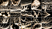 Holiday Flares Photo Overlays preview 5