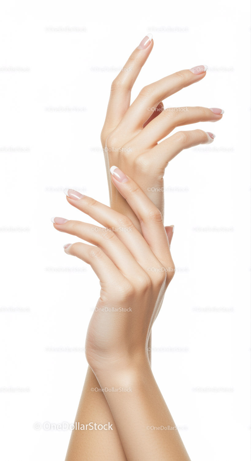 Closeup of elegant female hands with French manicure