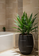 Lush Indoor Green Plant in Modern Bathroom Decor with Black Pot