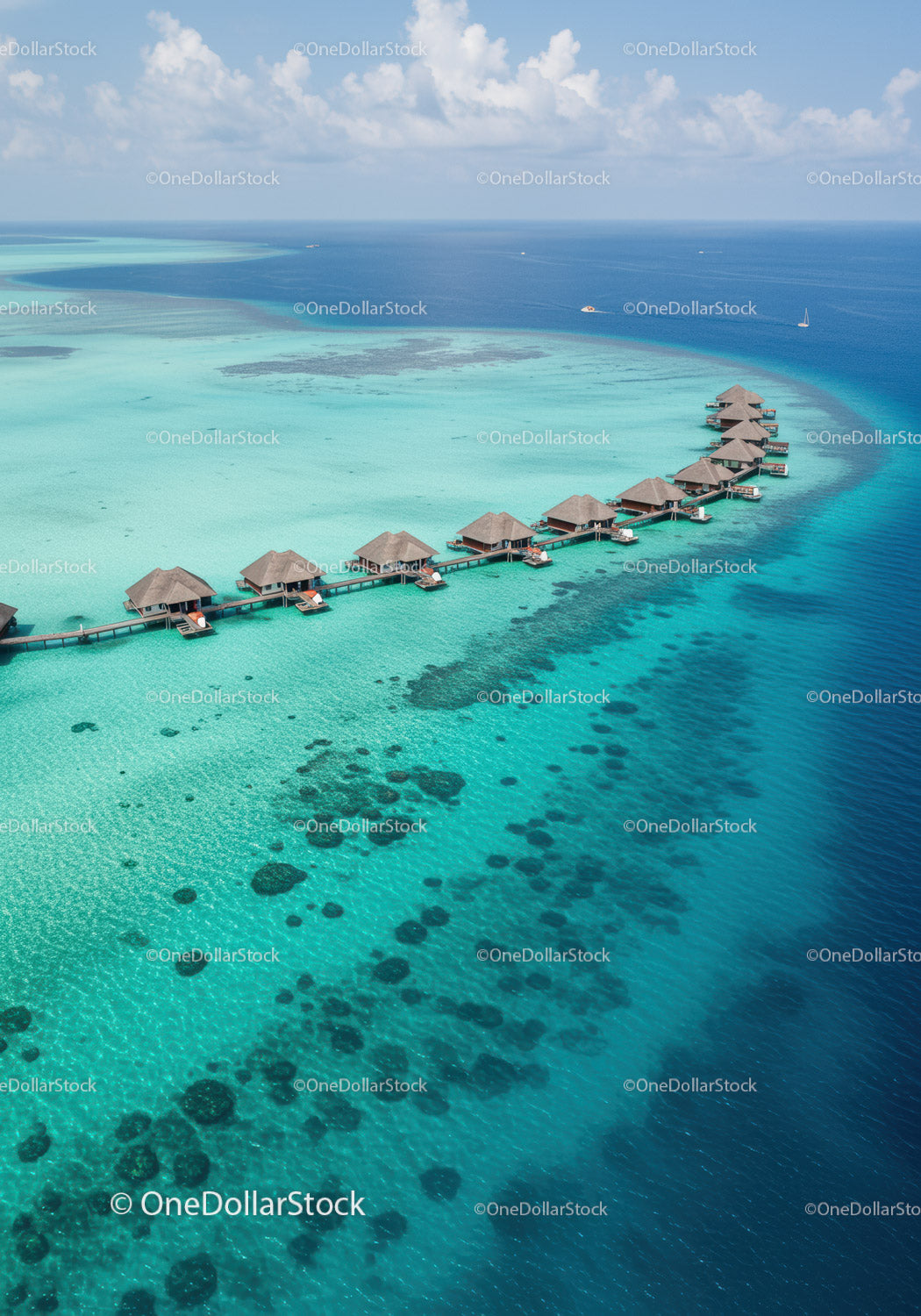 Tropical Overwater Bungalows in Clear Turquoise Ocean Water