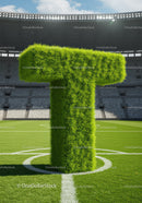Large Grass Sculpture Shaped Like Letter T on Soccer Field