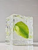 Fresh green leaf encased in clear ice cube
