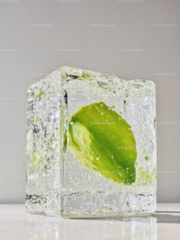 Fresh green leaf encased in clear ice cube