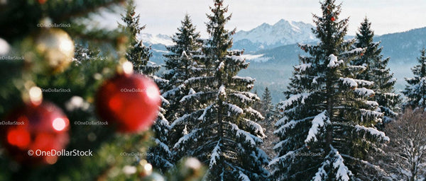 Snow-covered pine trees with Christmas decorations outdoors