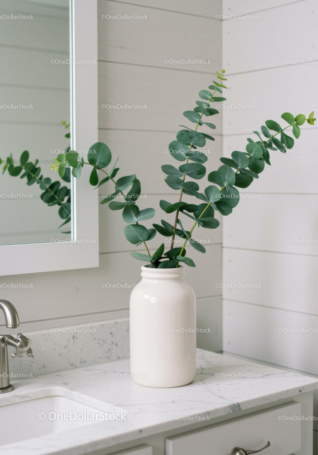 Elegant Eucalyptus Plant in White Vase for Modern Interior Decor