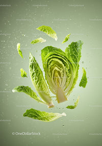 Fresh romaine lettuce leaves splashing in water