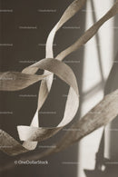 Elegant Paper Loops Artistic Flat Lay for Creative Design