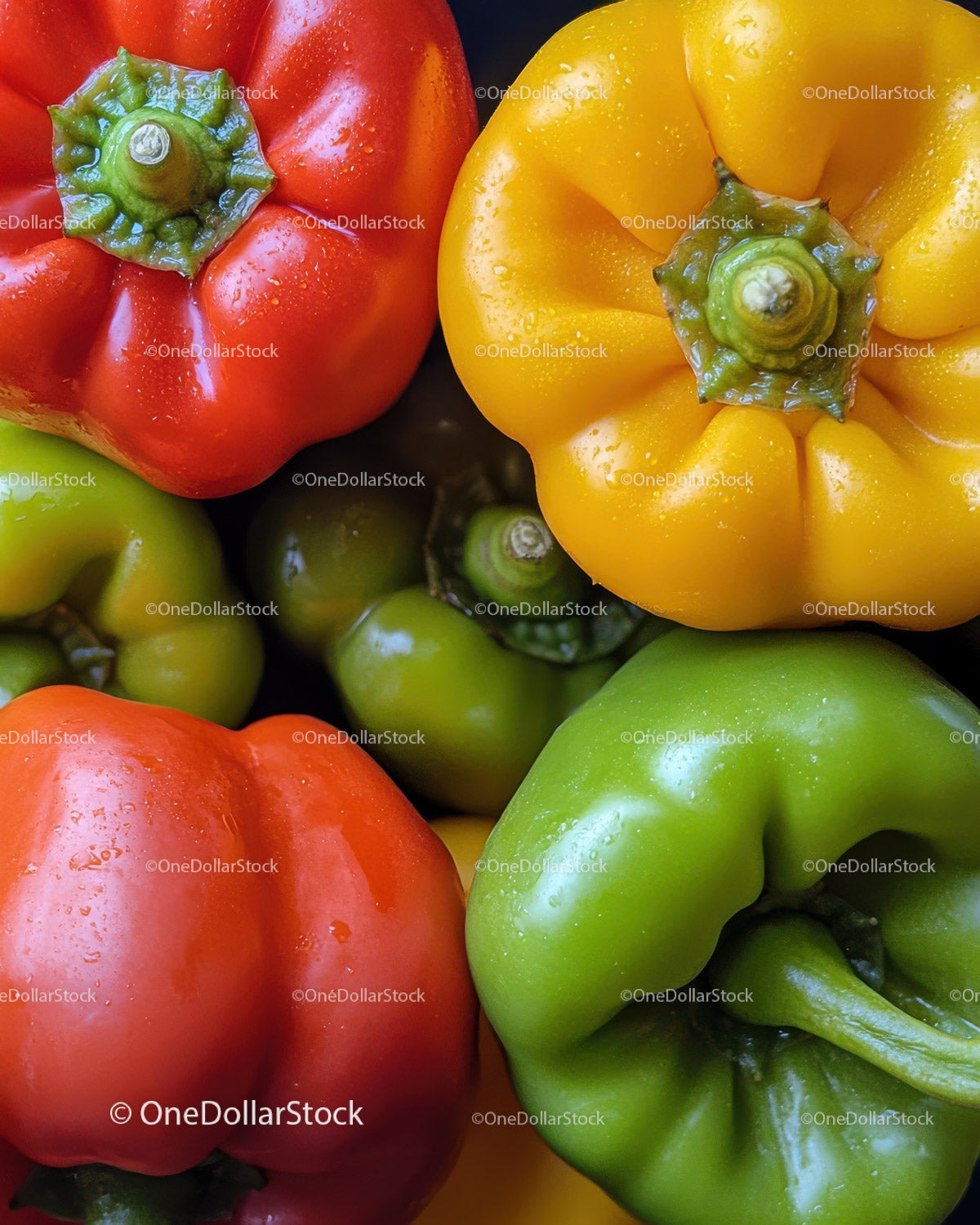 Colorful Bell Peppers in Close-Up with Vibrant Composition