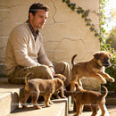 Man Sitting with Energetic Puppies on Outdoor Steps