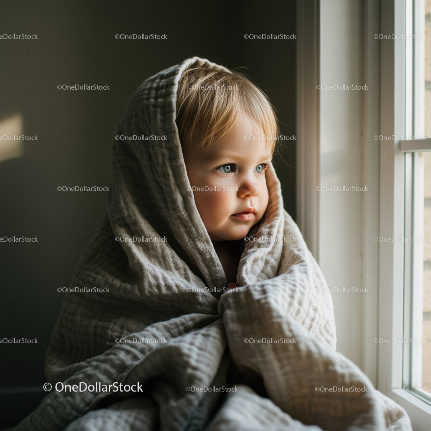 Toddler wrapped in cozy blanket looking thoughtfully outside