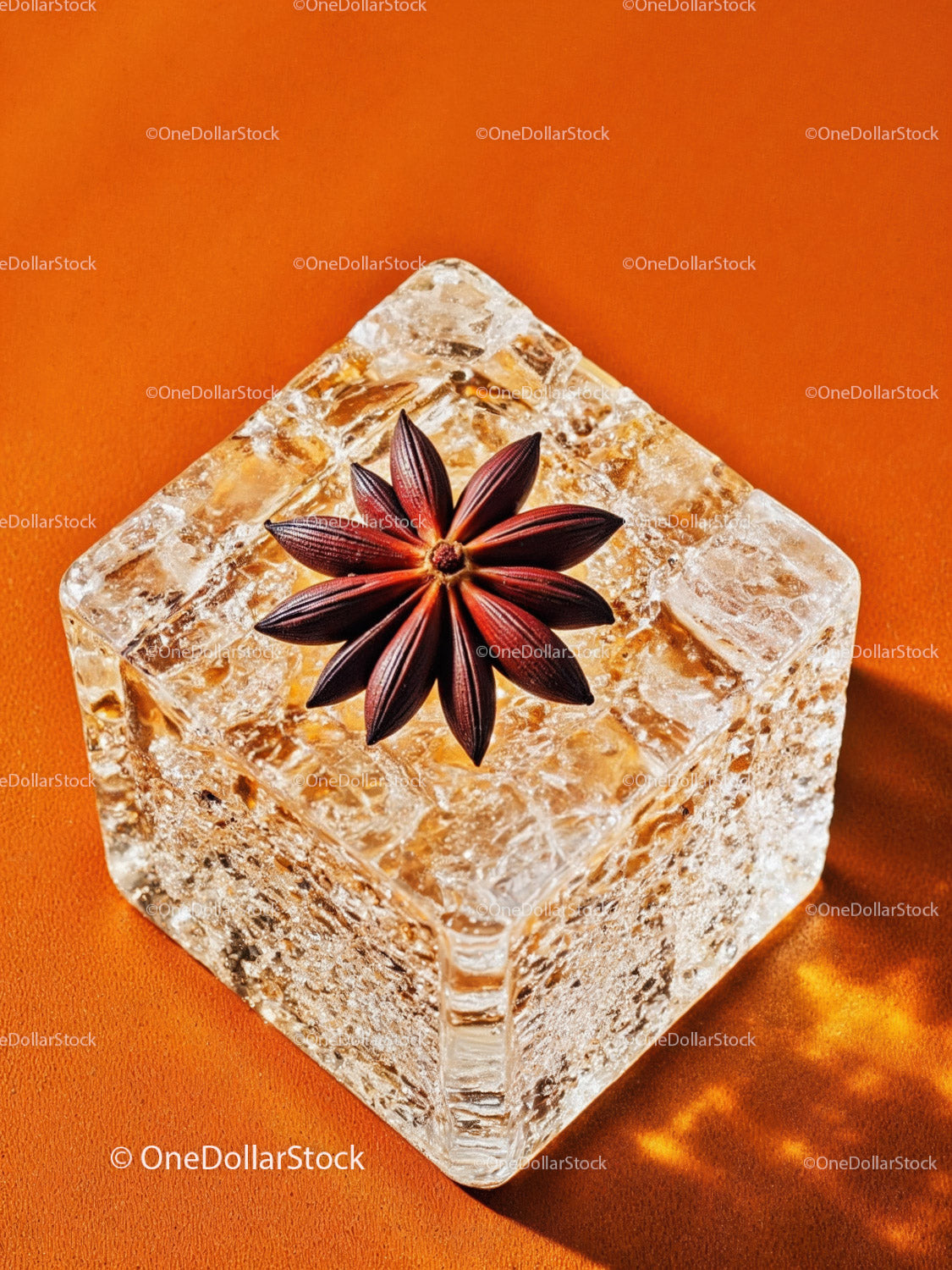 Star Anise on Textured Ice Cube on Vibrant Surface