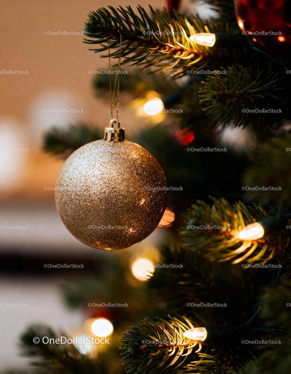 Gold Glitter Christmas Ornament Hanging on Pine Tree