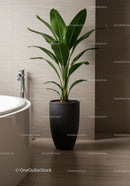 Lush Green Houseplant in Modern Interior Design with Black Pot