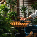 Hand Holding Coffee Cup in a Cozy Cafe Surrounded by Plants