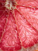 Close-up of Pink Grapefruit Slice with Bubbles for Fresh Food Commercial
