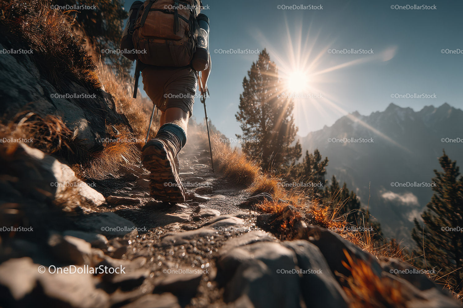 Mountain Trekker Climbing Rocky Trail in the Sunlit Wilderness