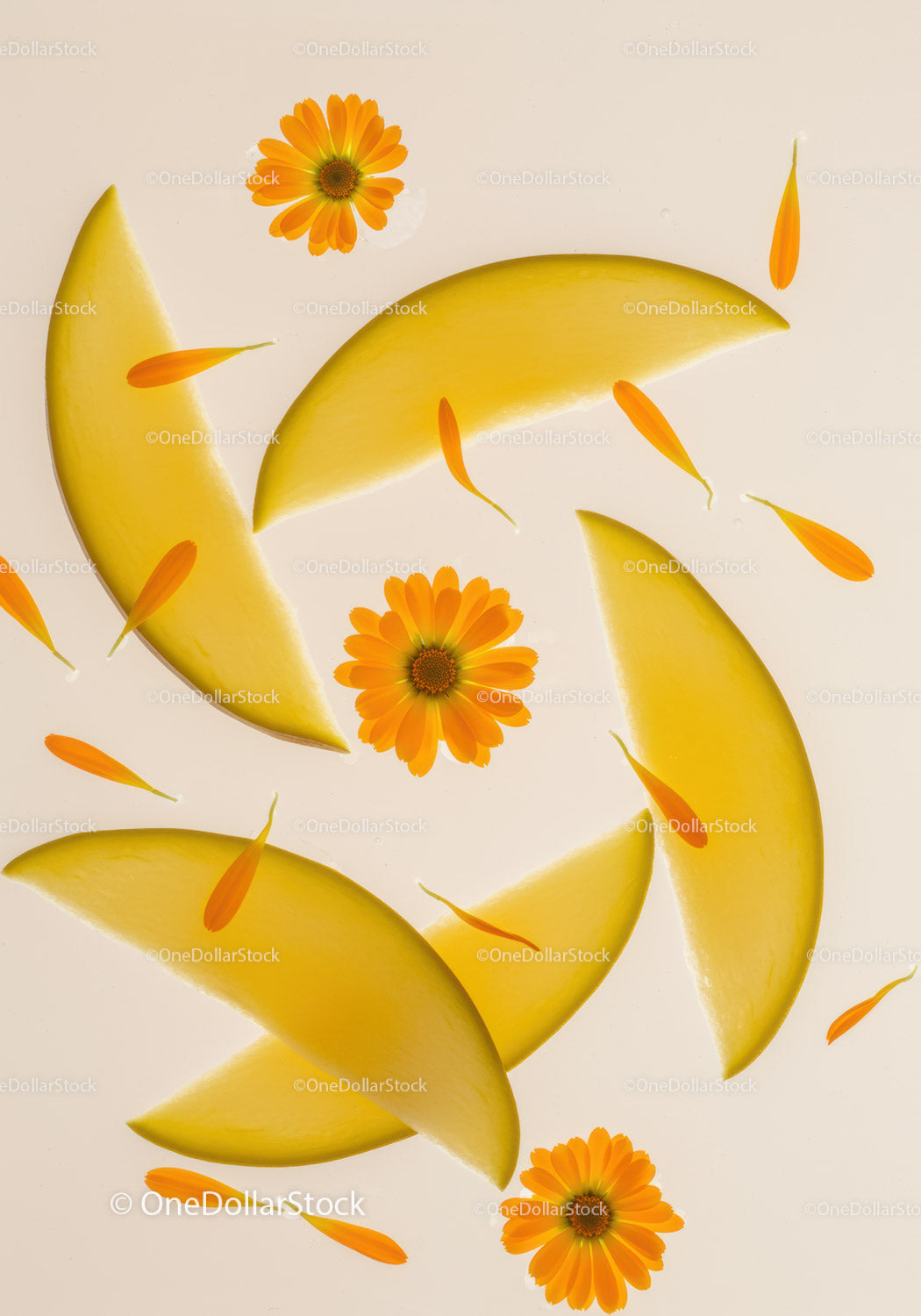 Fresh melon slices with vibrant calendula flowers