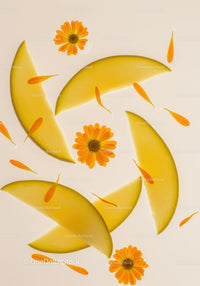 Fresh melon slices with vibrant calendula flowers