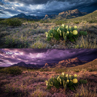 Dark Namib XMP presets color grading preview