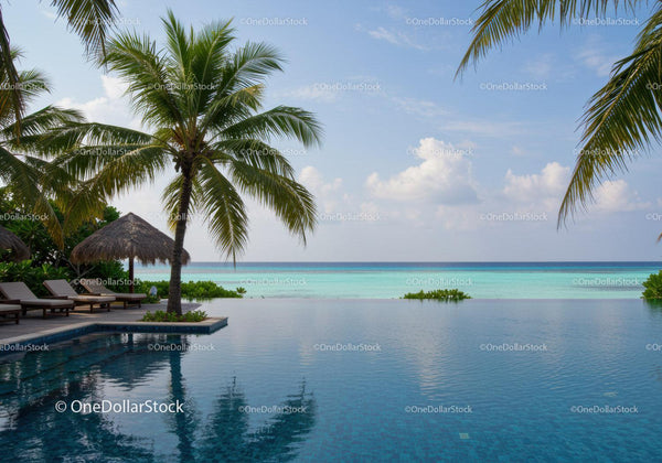 Tropical Beach Resort with Infinity Pool and Ocean View