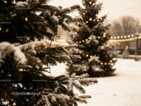 Snow-covered pine branches with warm Christmas lights