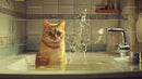 Orange Tabby Cat Bathing in Bathroom Sink