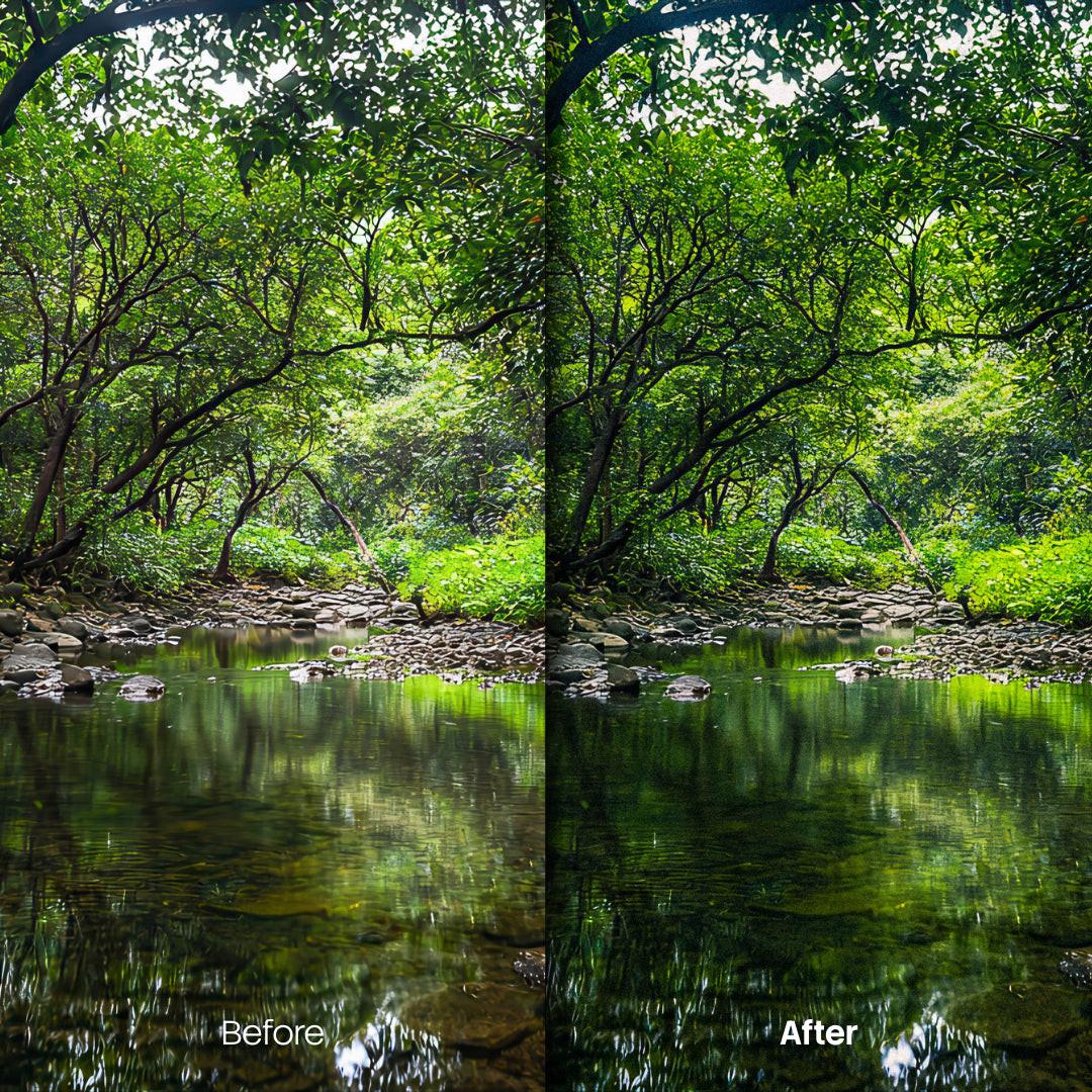 Before and after Cinematic Nature Lightroom preset edit