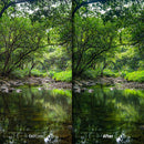 Before and after Cinematic Nature Lightroom preset edit