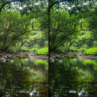 Before and after Cinematic Nature Lightroom preset edit
