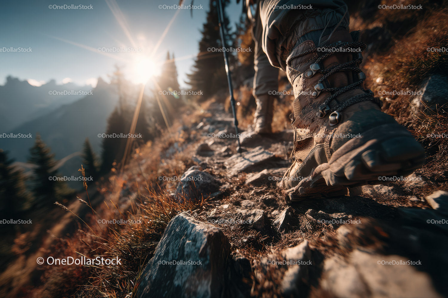 Close-up of Hiking Boots in Mountain Trail During Sunny Day