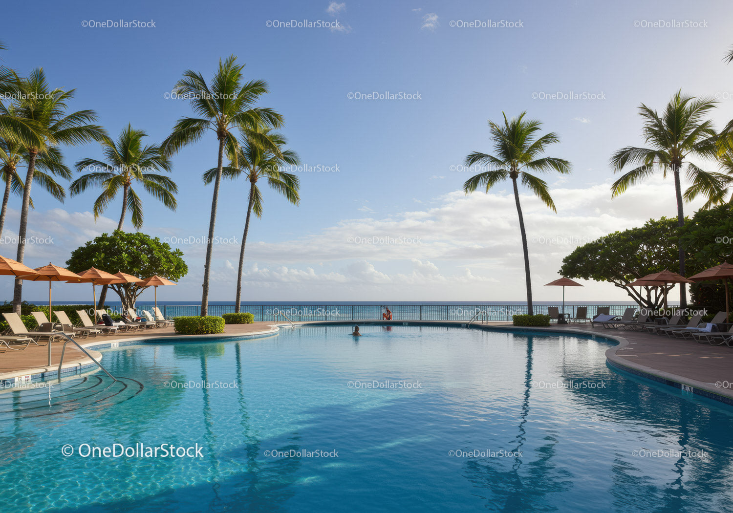 Relaxing Poolside Scene with Tall Palm Trees and Ocean View